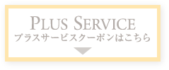 PLUS  SERVICE